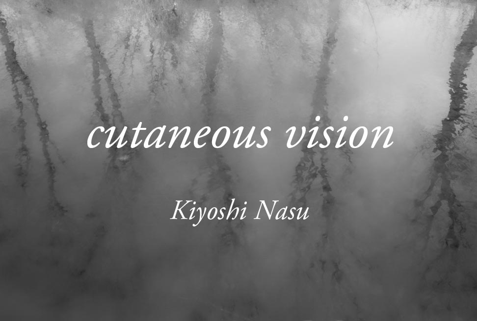 #1 of cutaneous vision